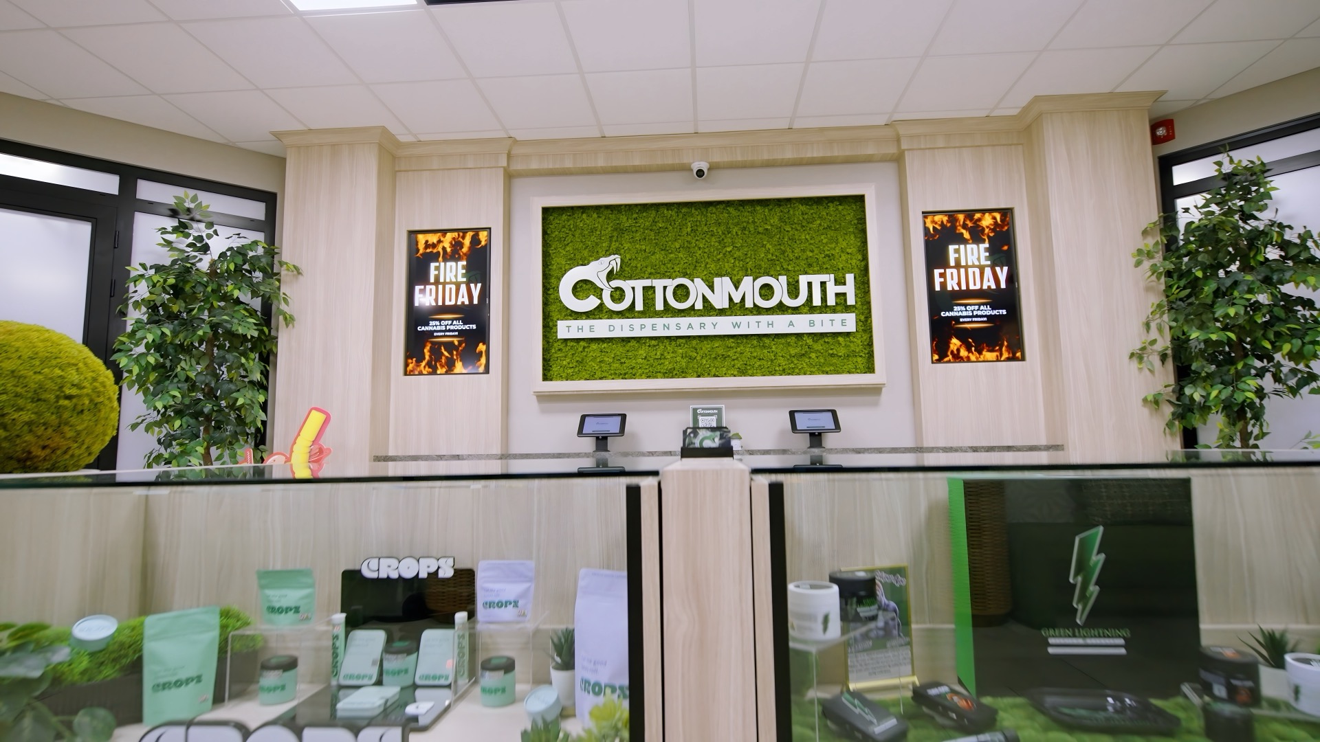 Cottonmouth Dispensary moss wall interior feature